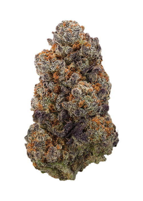 Candifornia