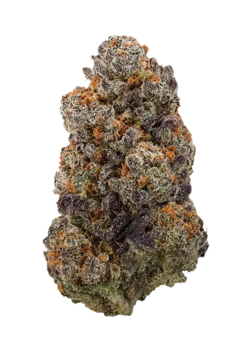 Candifornia