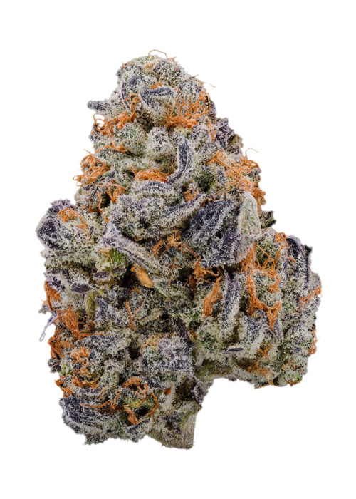 Jungle Juice by Seed Junky