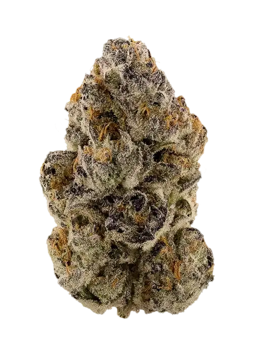 Candy Styx