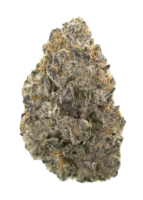 Blue Jam