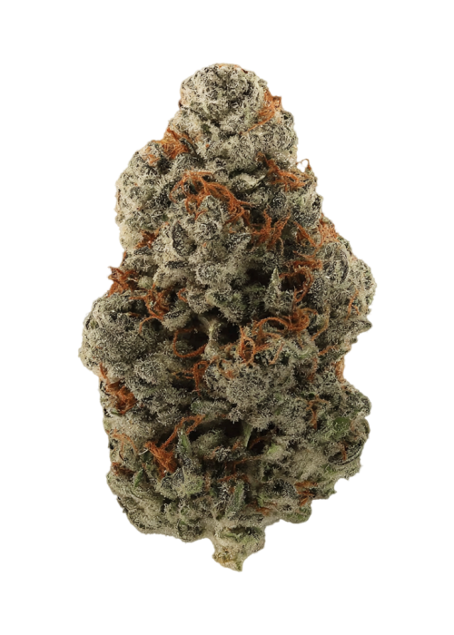 Baby Heady