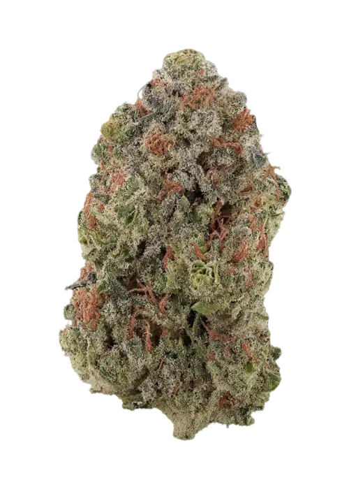 Moonlinght Headies