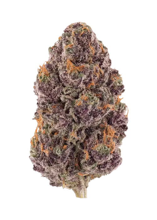 Tropicana Cherry by Barneys Farm