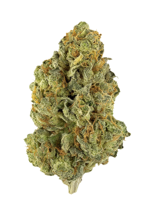 Clean Kush