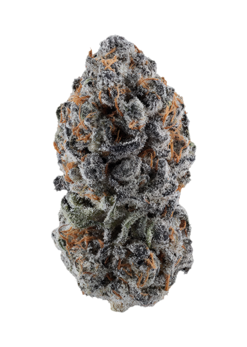 Sherbacio Warhead
