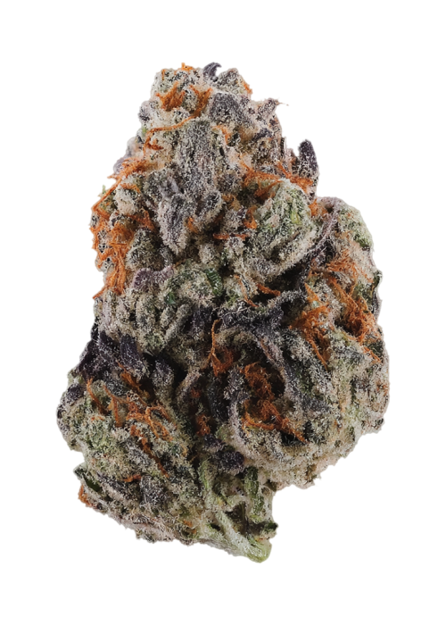 Blackberry Pie by Seed Junky