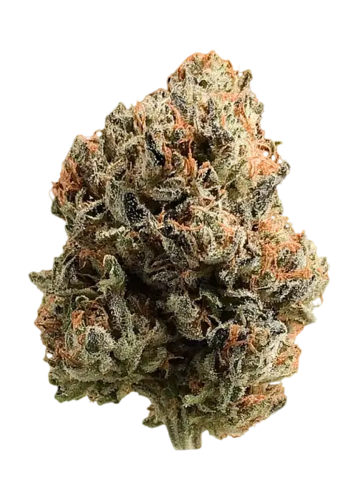 Buckhead Betty