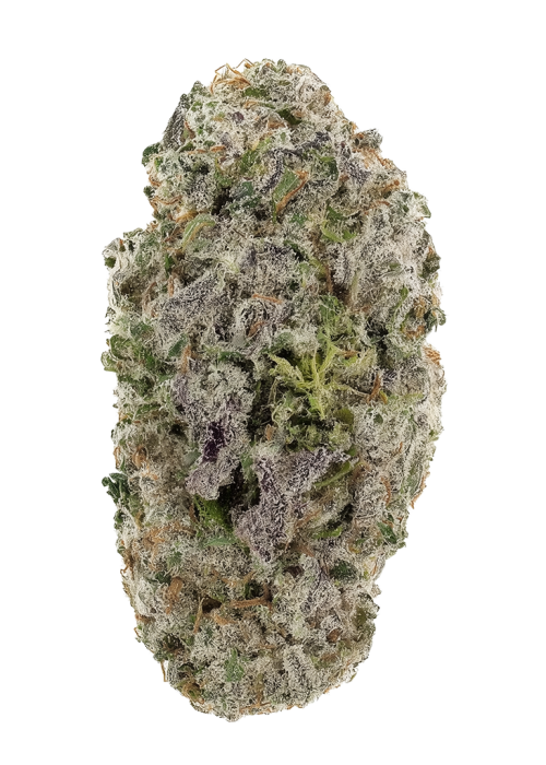 Sweet Pink Grapefruit x Peach Limonada
