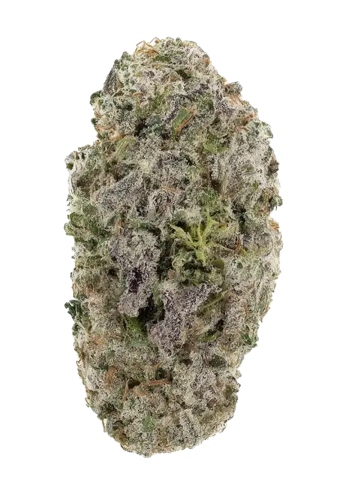Sweet Pink Grapefruit x Peach Limonada