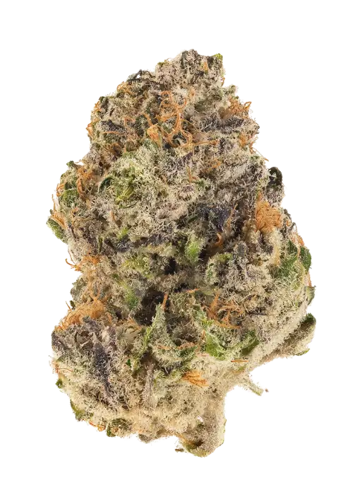 Papaya x Peach Limonada