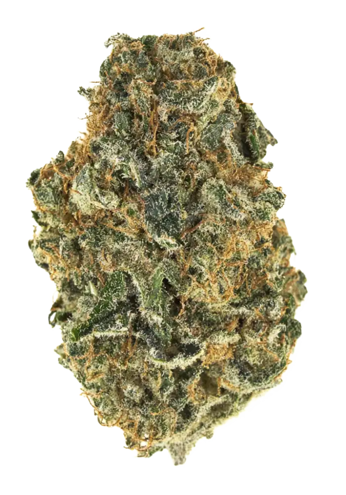 Bruce Banner #3