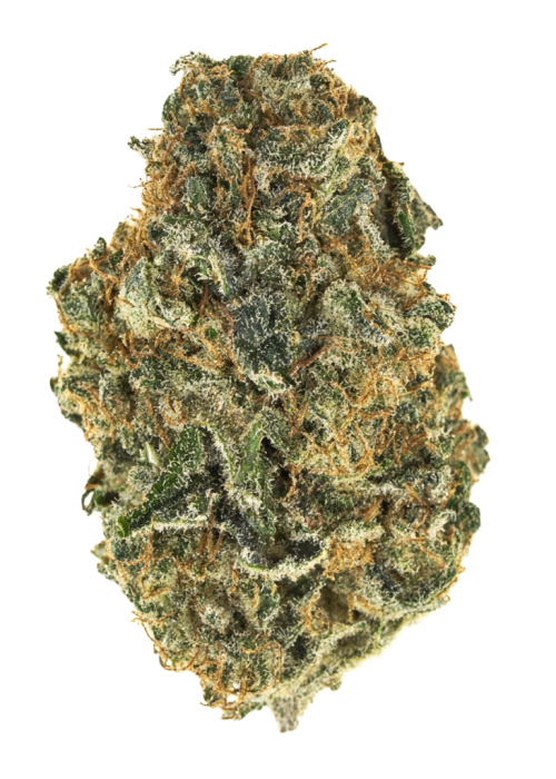 Bruce Banner #3
