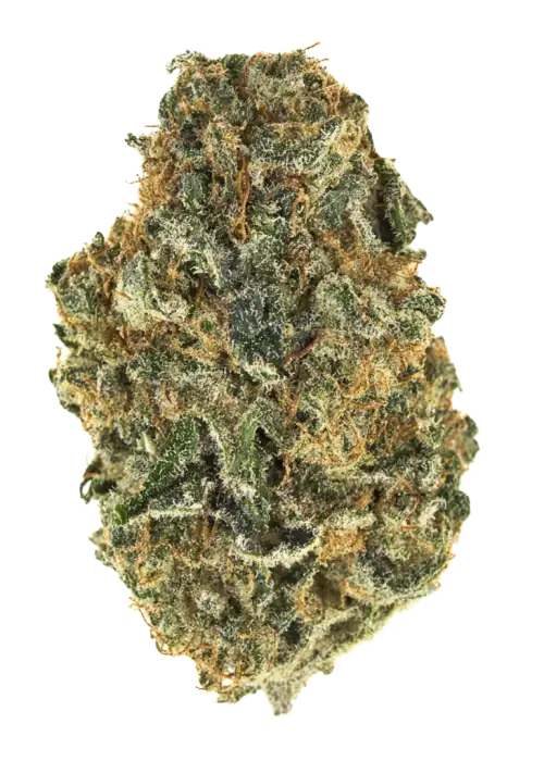 Bruce Banner #3