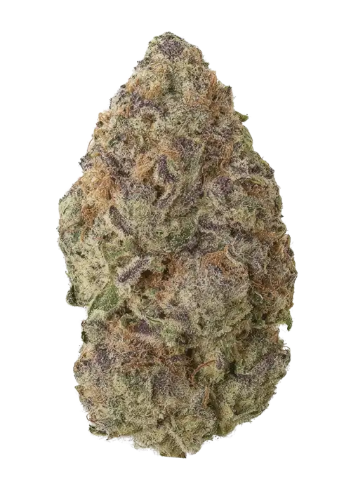 Sugar Plum by Zaba