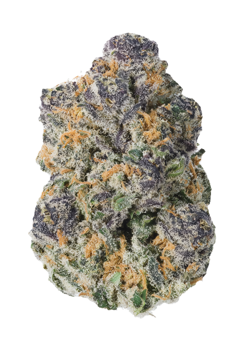 Oasis OG