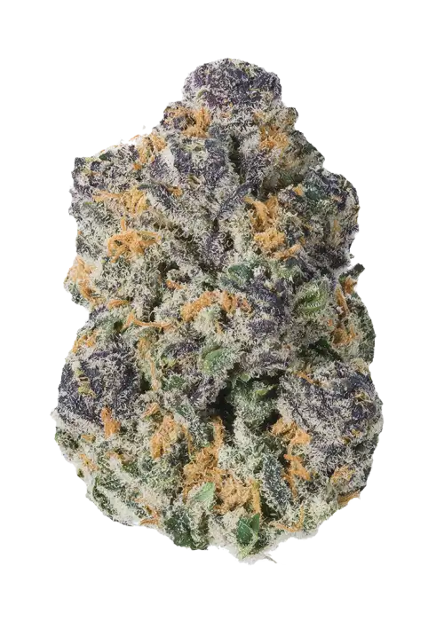 Oasis OG