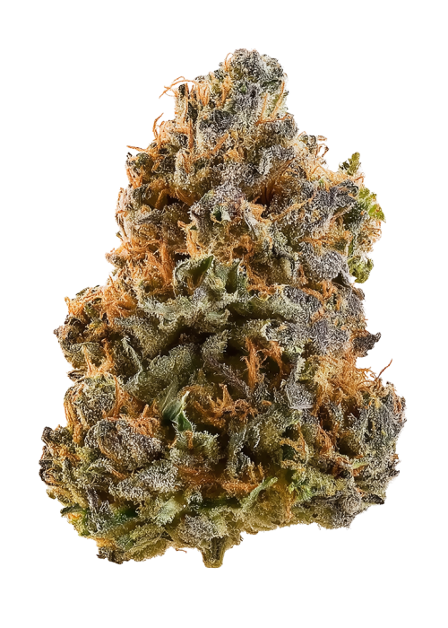 Neon Lemon