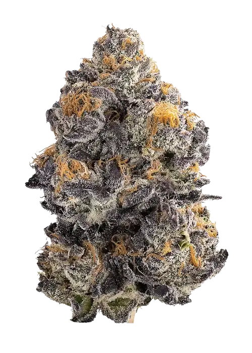 Paint Thinner by LIT Farms