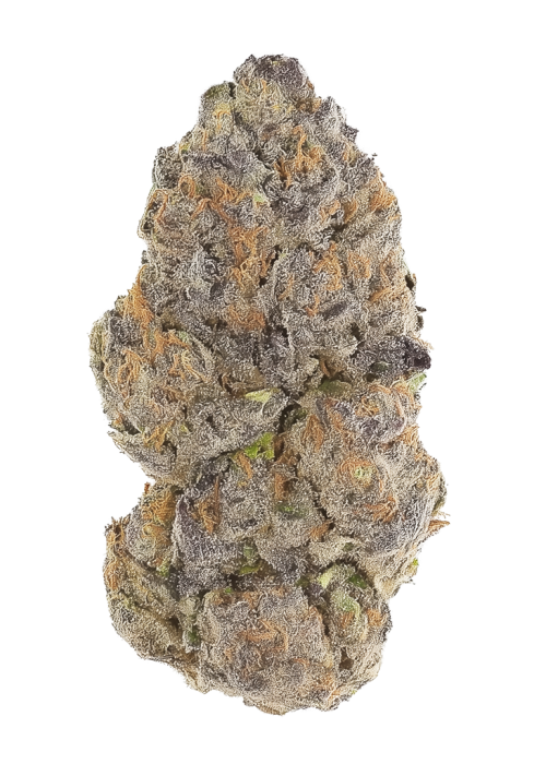Black and Blue by Ziplock Seeds