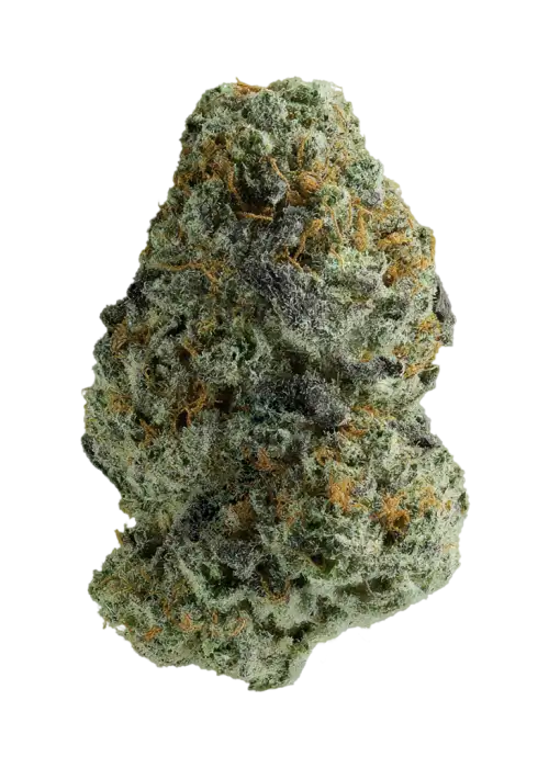 Luna Berry
