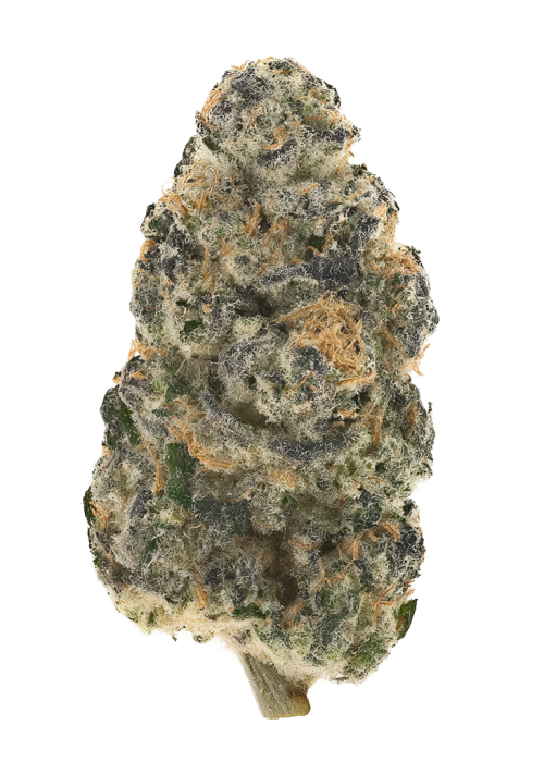 Cherry Cap