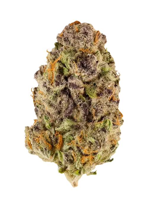 Grape MTN
