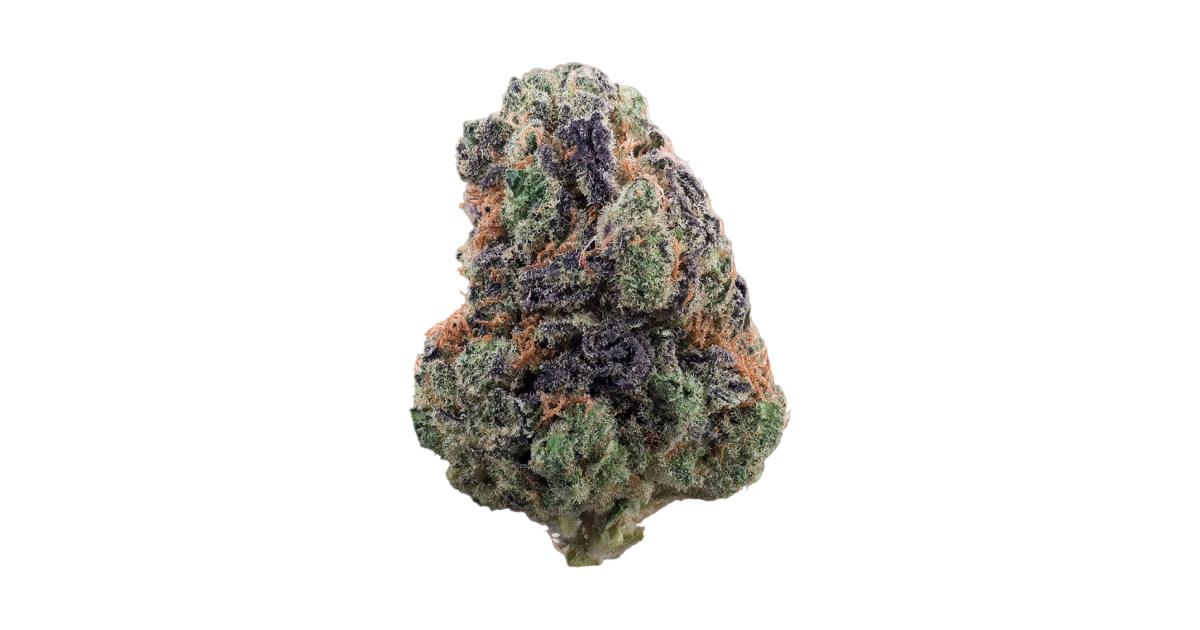 4913-blue-grapes.og.jpg