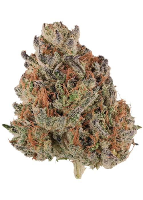 Blue Honey