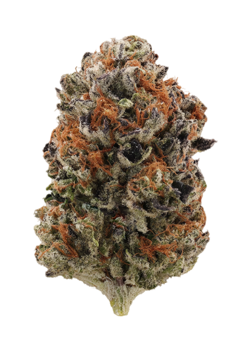 Blunana