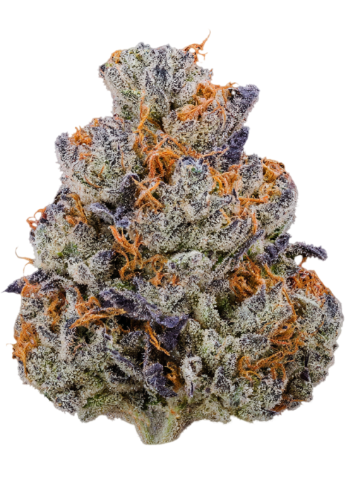 Rainbow Pie R1