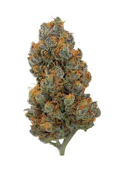Grape Fruity R1