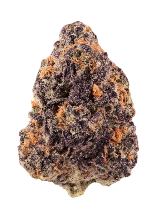 Bonkerz by Zaba