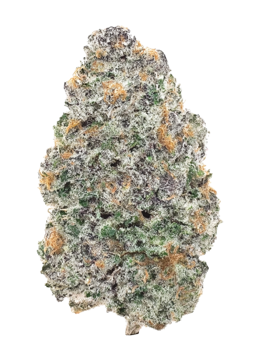 Citric Acid by Offensive Selections