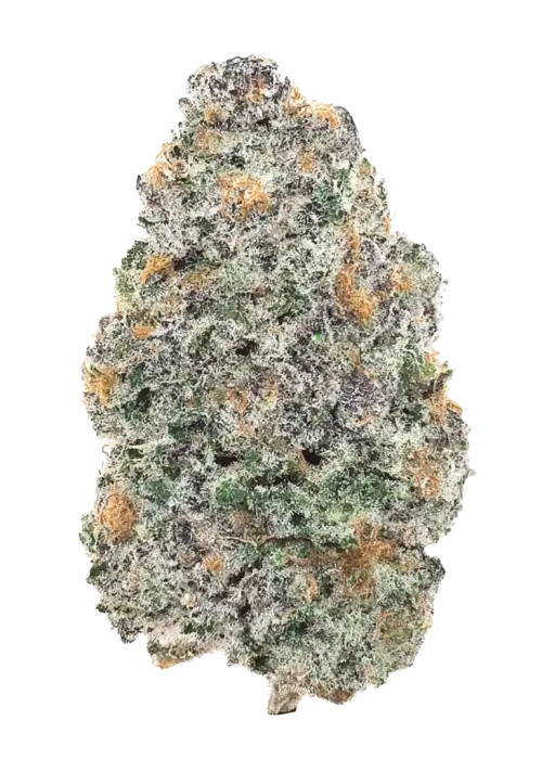 Citric Acid by Offensive Selections