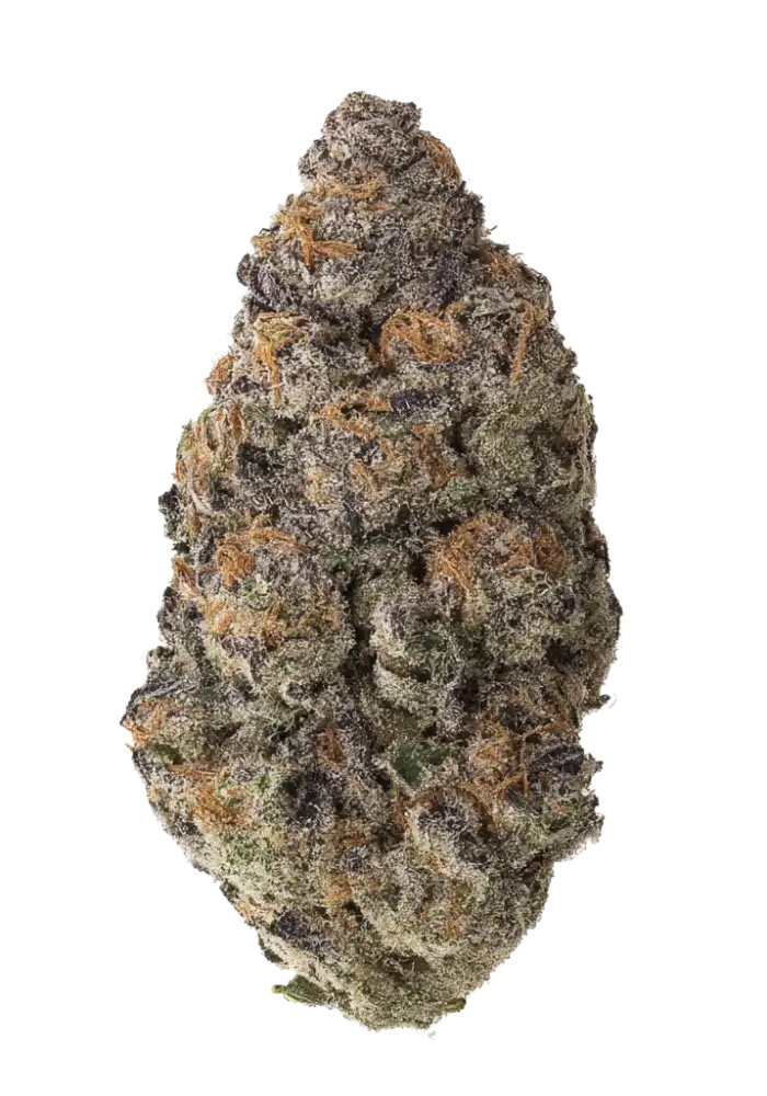 Grape Frappe Cannabis Strain Information - GrowDiaries