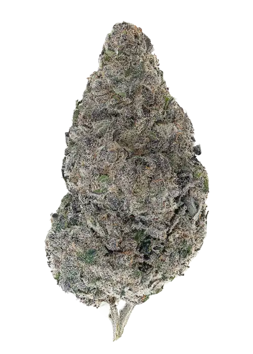 Rain Cloud