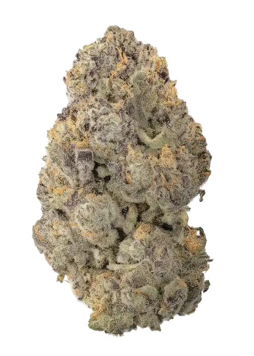 Rhino Breath