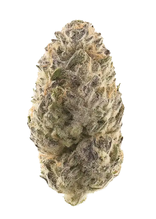 Sour Ube