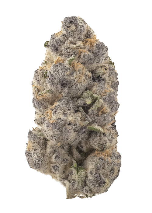 Ammonia by Zaba Cannabis