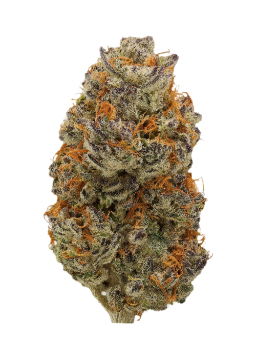 Sour Fish