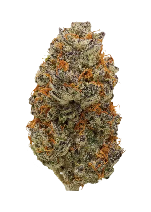 Sour Fish