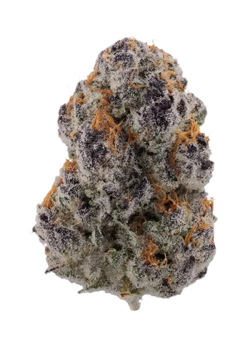Zolvent by EZ Genetics
