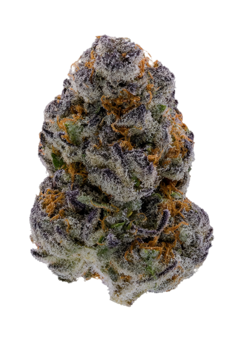 Flavor Nova