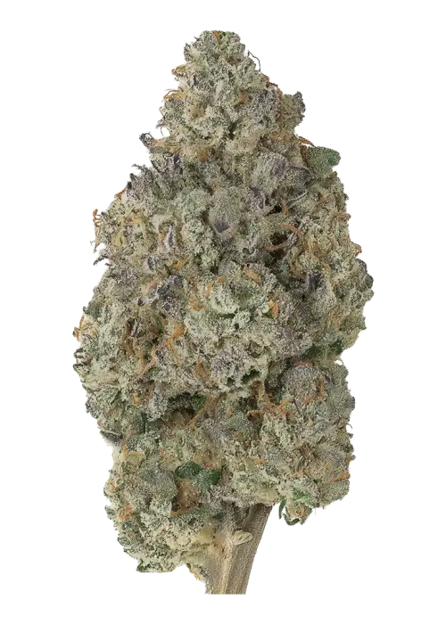 Spiked Melonz