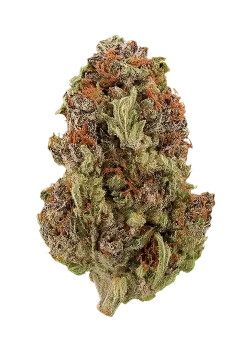 Berry Bubba
