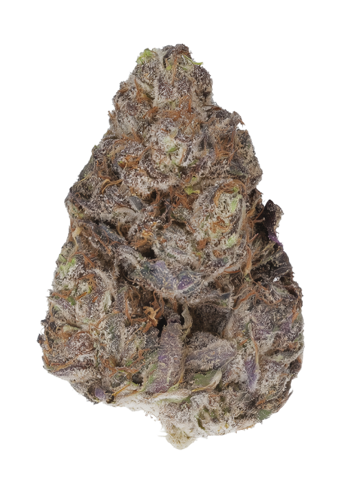 Mint Condition by Zaba Cannabis