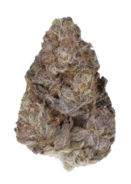 Mint Condition by Zaba Cannabis
