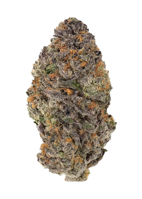 Blackberry Gelato