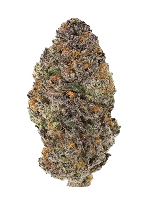 Blackberry Gelato